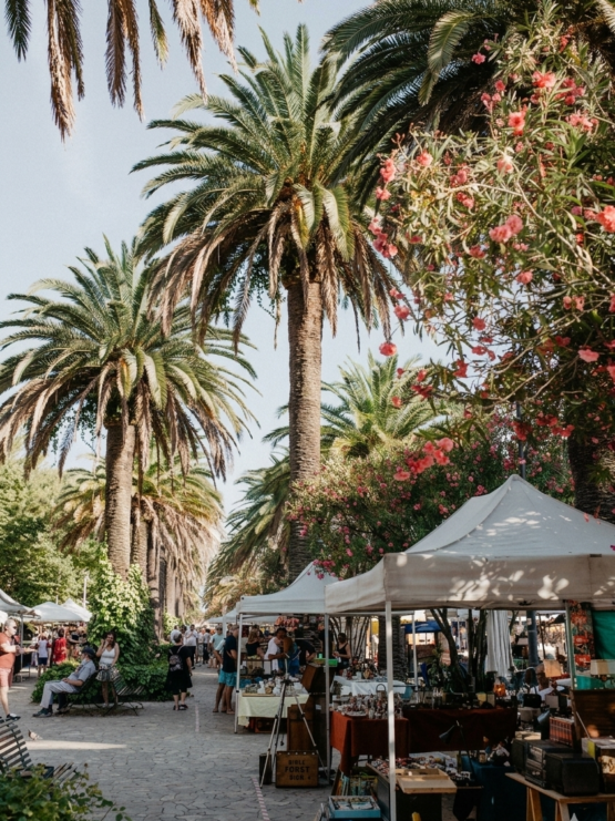 Gemini_Generated_Image_xoqxblxoqxblxoqx